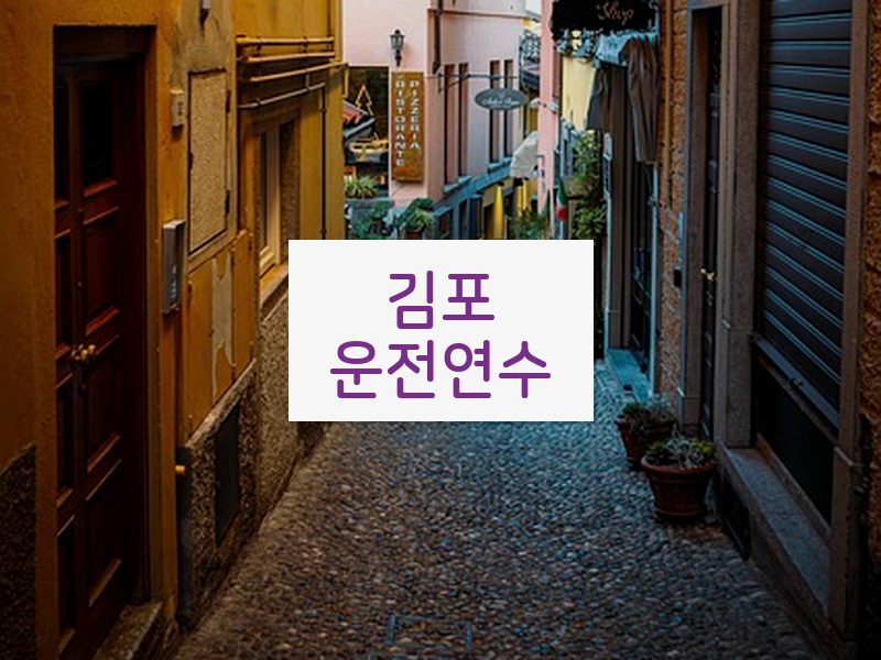 김포운전연수 후기
