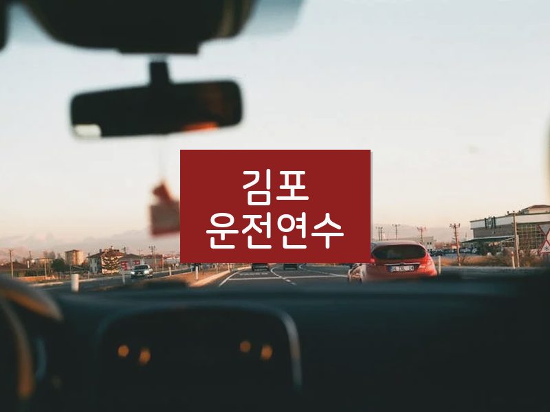 김포운전연수 후기