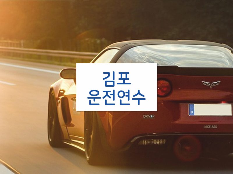 김포운전연수 후기