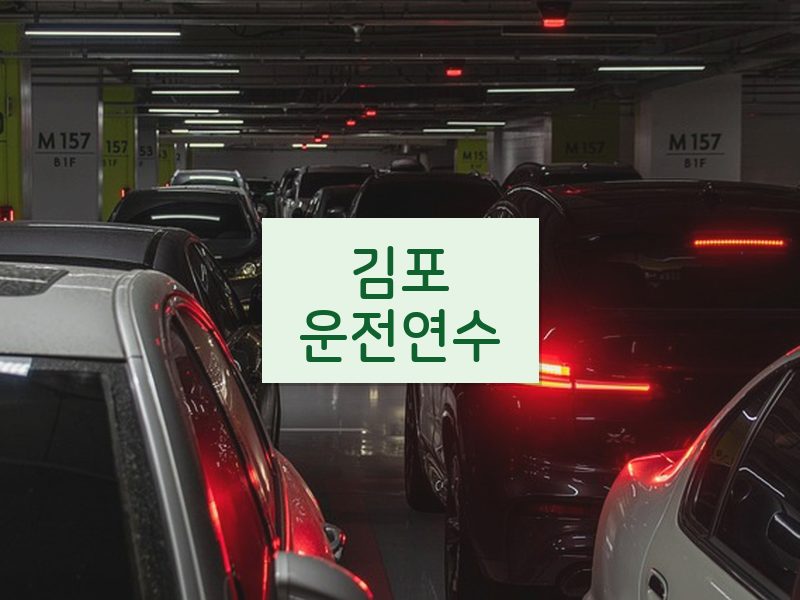 김포운전연수 후기