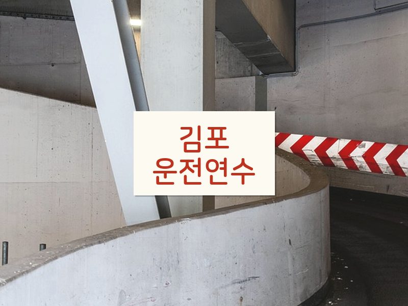 김포운전연수 후기