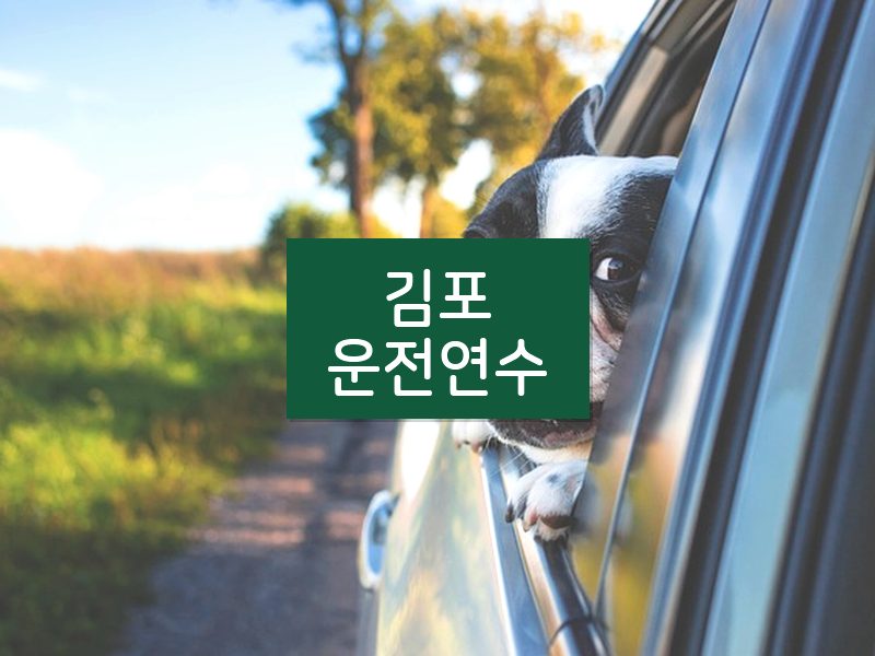 김포운전연수 후기