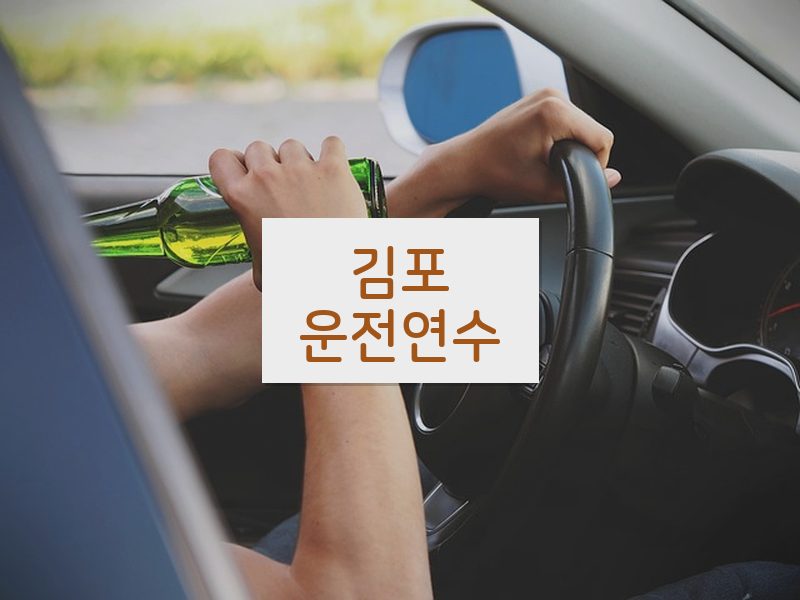 김포운전연수 후기