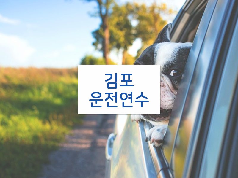 김포운전연수 후기