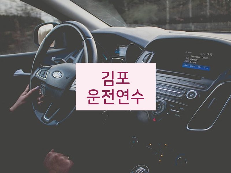 김포운전연수 후기