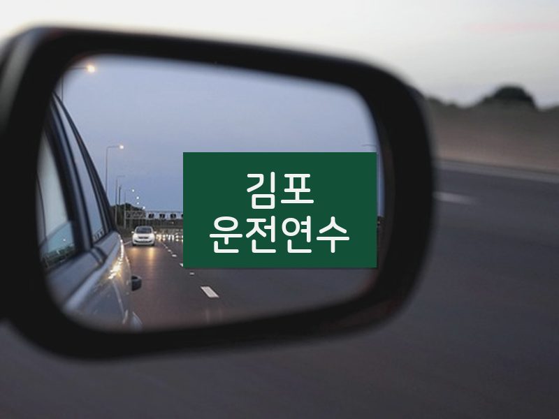 김포운전연수 후기