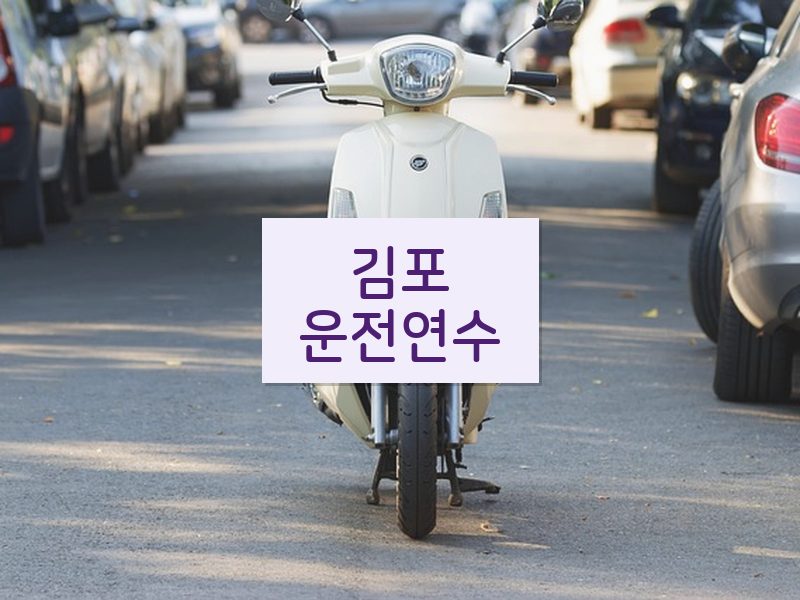 김포운전연수 후기