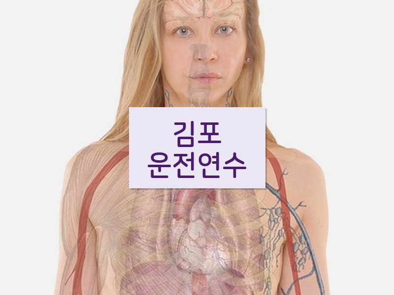 김포운전연수 후기