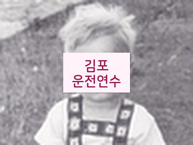 김포운전연수 후기