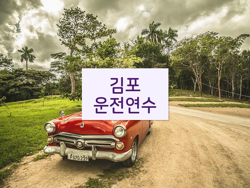 김포운전연수 후기