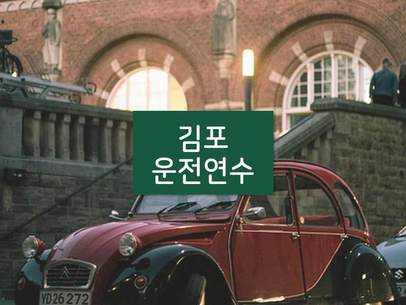 김포운전연수 후기