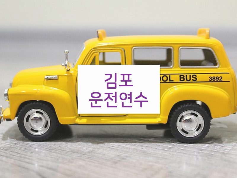 김포운전연수 후기