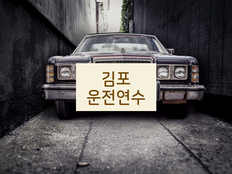 김포운전연수 후기