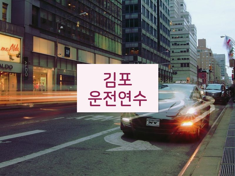 김포운전연수 후기