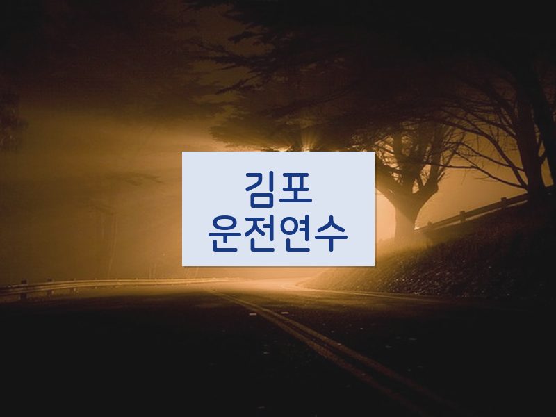 김포운전연수 후기