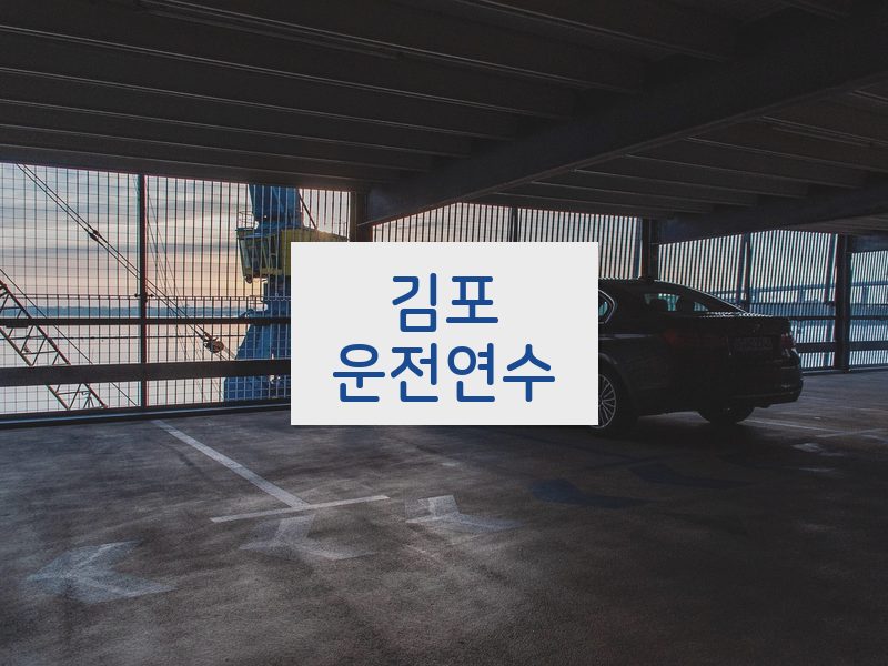 김포운전연수 후기