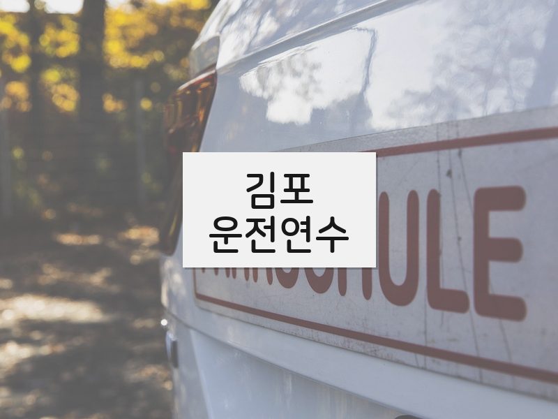 김포운전연수 후기