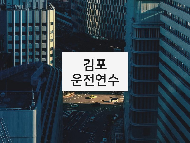 김포운전연수 후기