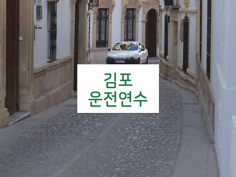 김포운전연수 후기