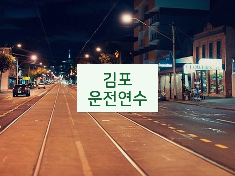 김포운전연수 후기