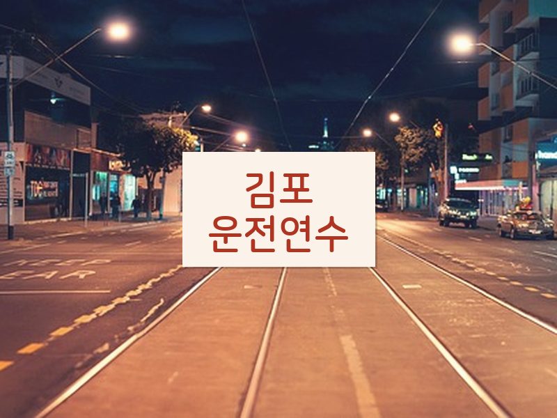 김포운전연수 후기