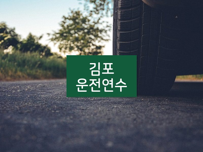 김포운전연수 후기