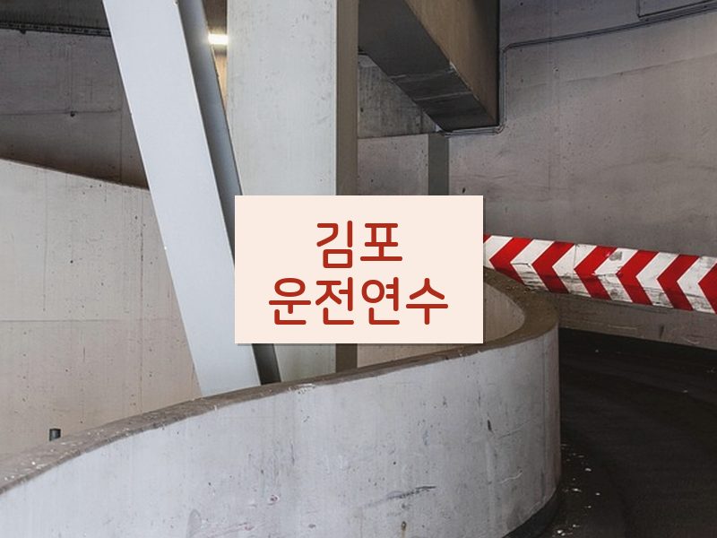 김포운전연수 후기