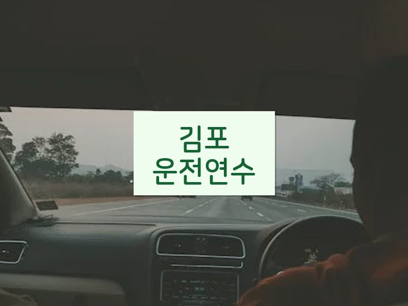 김포운전연수 후기