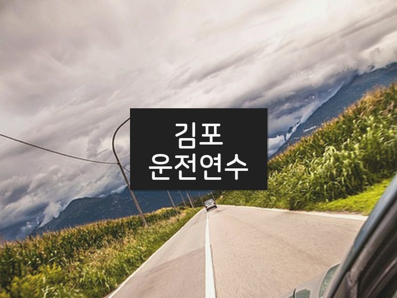 김포운전연수 후기