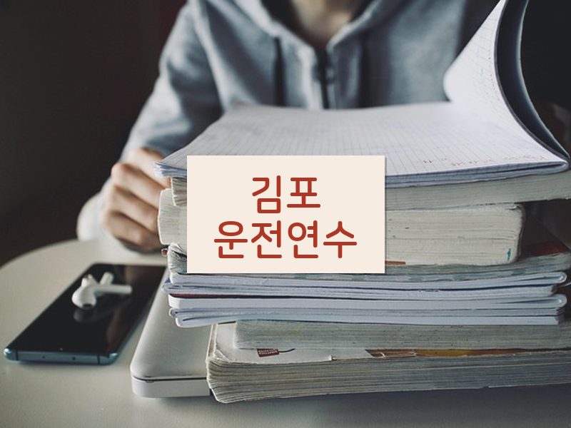김포운전연수 후기