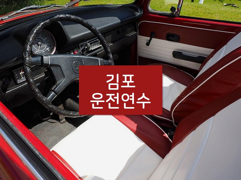 김포운전연수 후기