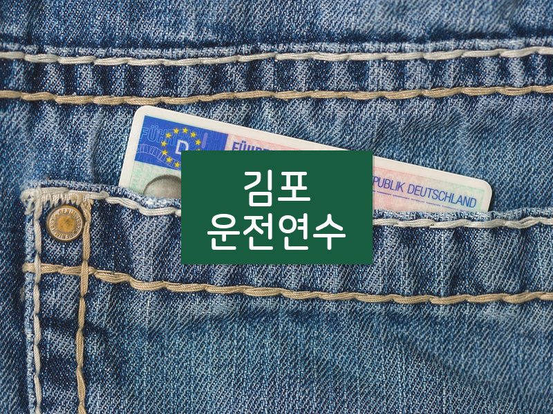 김포운전연수 후기