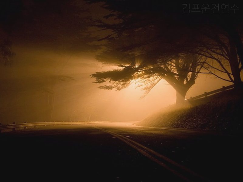 김포운전연수 후기