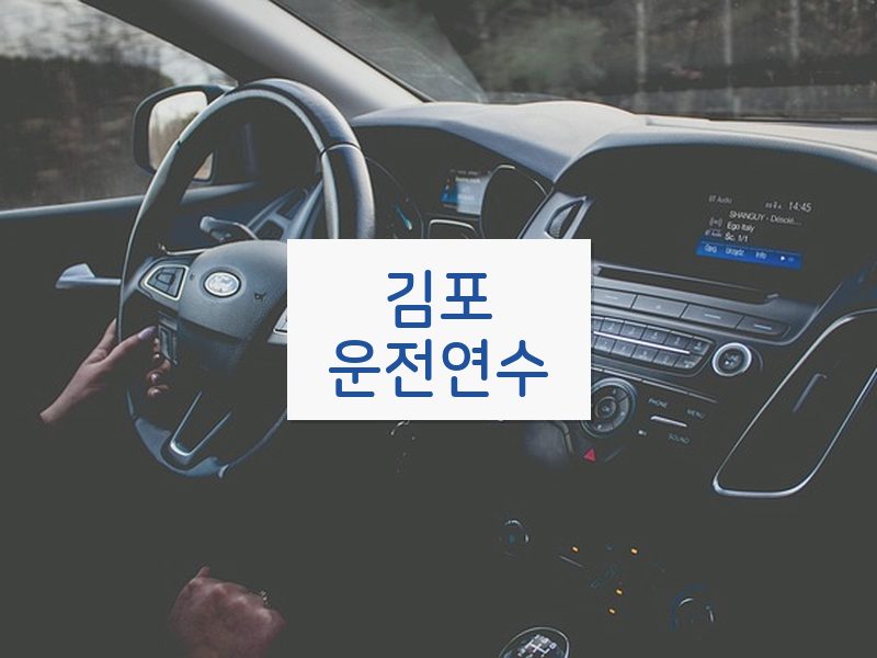 김포운전연수 후기