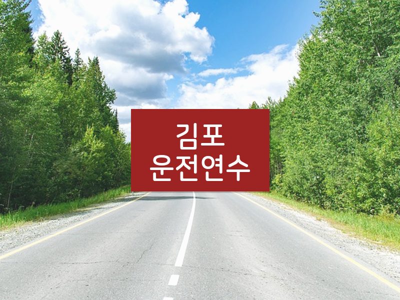 김포운전연수 후기