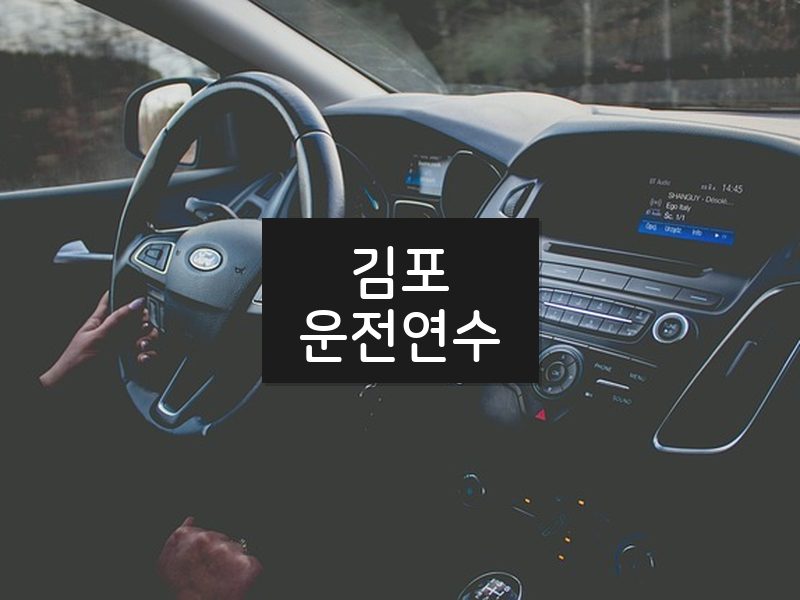 김포운전연수 후기