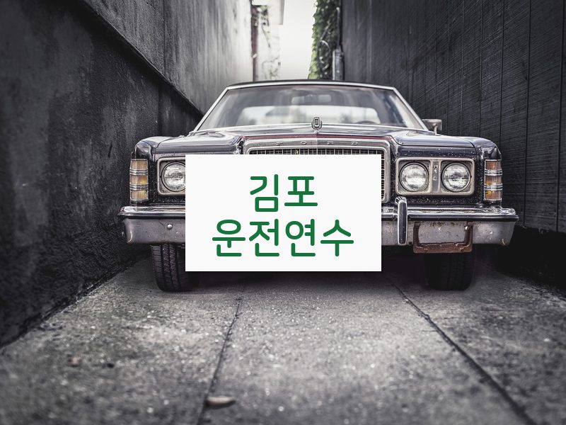 김포운전연수 후기