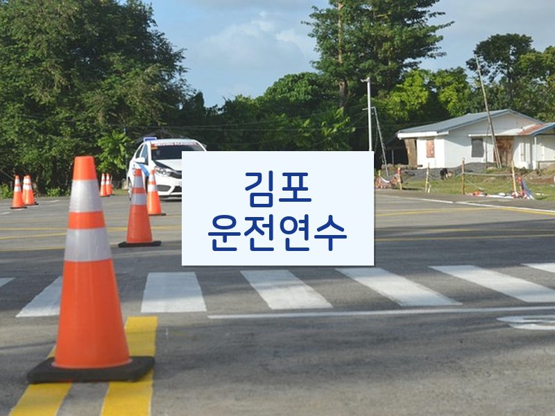김포운전연수 후기
