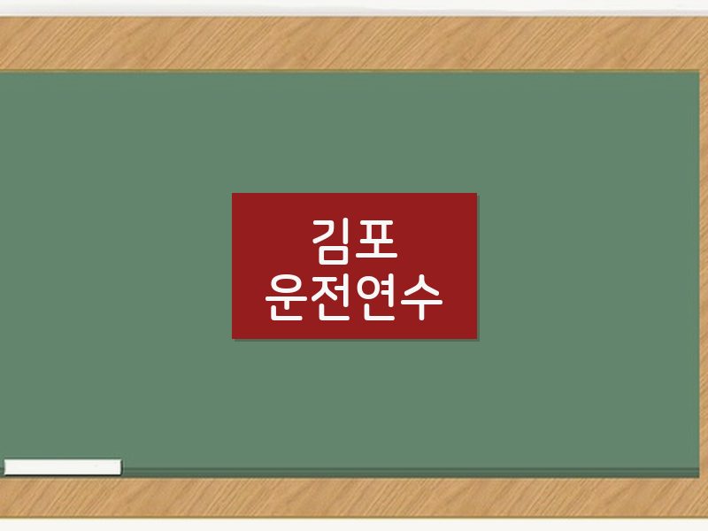 김포운전연수 후기