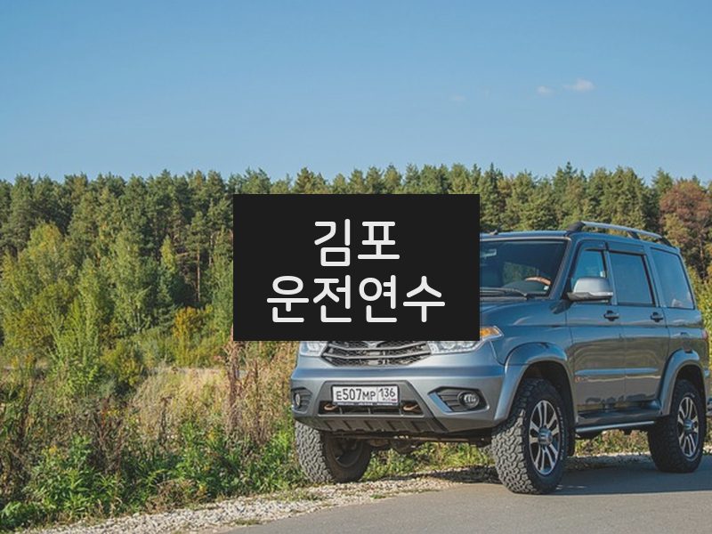 김포운전연수 후기