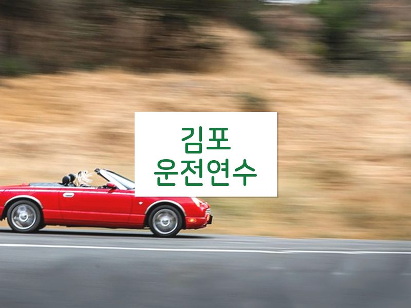 김포운전연수 후기