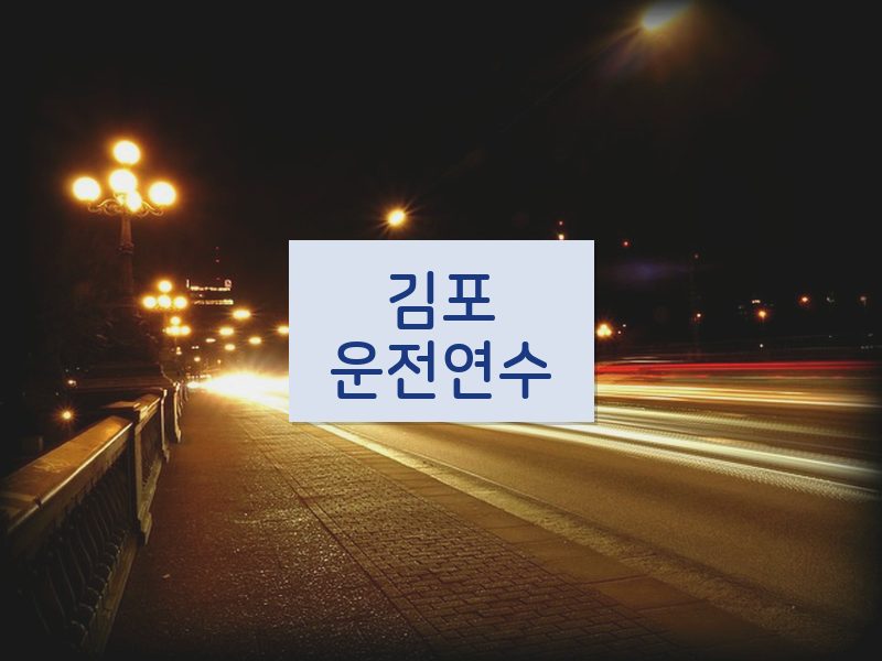 김포운전연수 후기