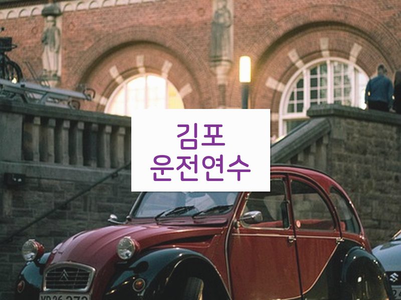 김포운전연수 후기