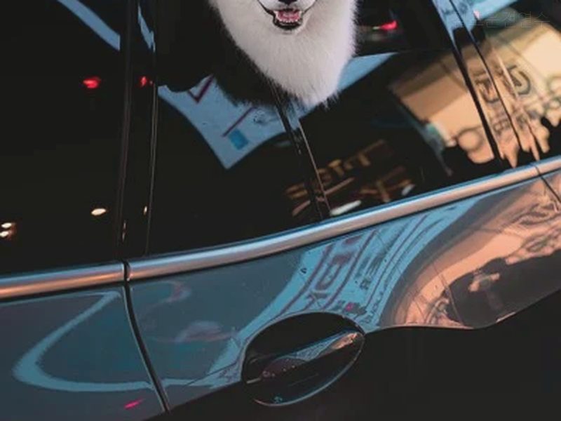 김포운전연수 후기