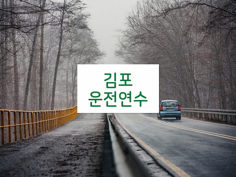 김포운전연수 후기