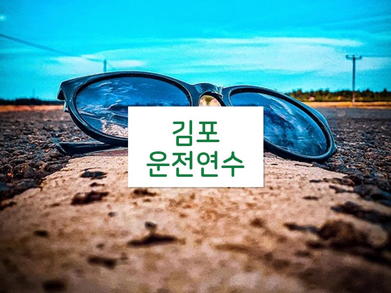 김포운전연수 후기