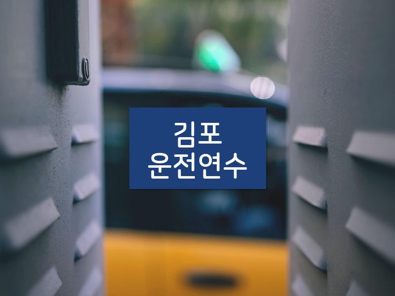 김포운전연수 후기
