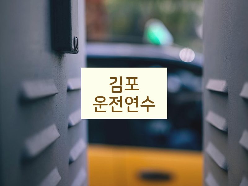 김포운전연수 후기