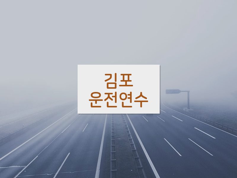 김포운전연수 후기