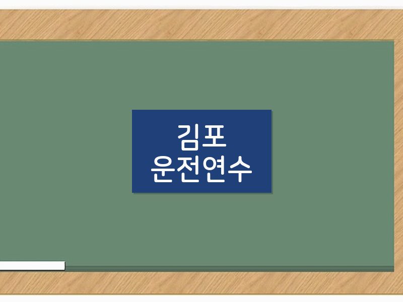 김포운전연수 후기